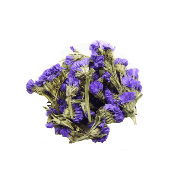 Dried Forget Me Not Flowers