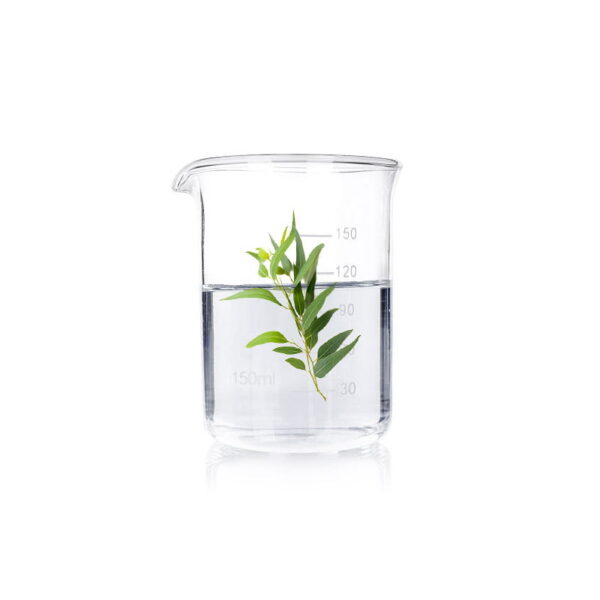 Tea Tree Water