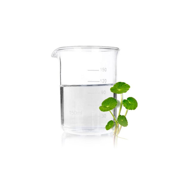 Centella Asiatica Extract
