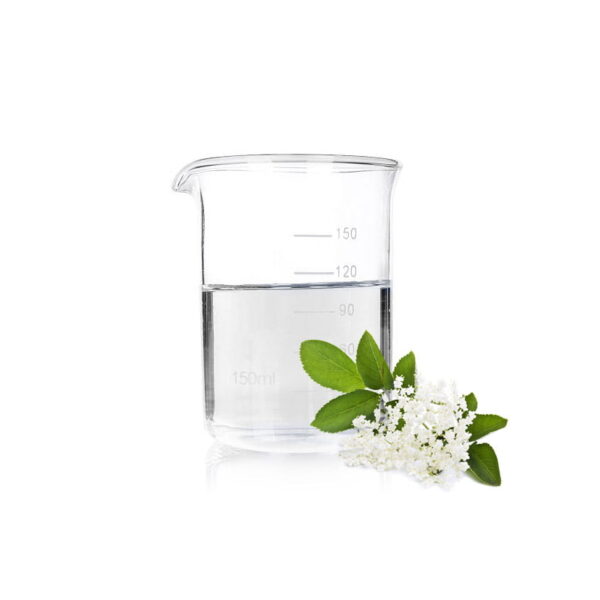 ElderFlower Extract