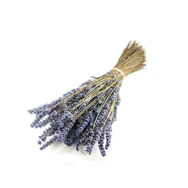Dried Lavender Bouquet