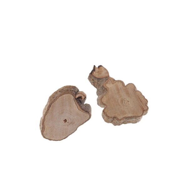 Cloud Shape Wood Pieces (Set of 5)