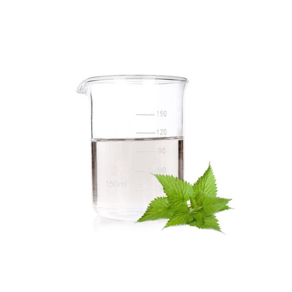 Nettle Extract