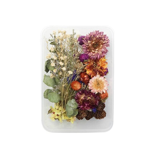botanical mix box
