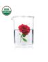 organic rose water
