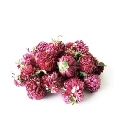 Pink Globe Amaranth