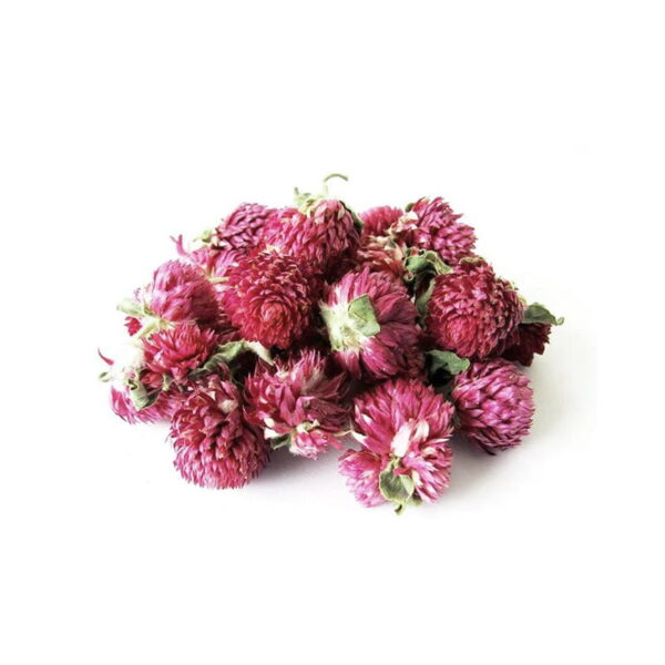 Pink Globe Amaranth