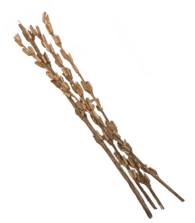 Sesame Rod Bouquet