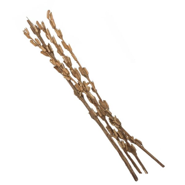 Sesame Rod Bouquet