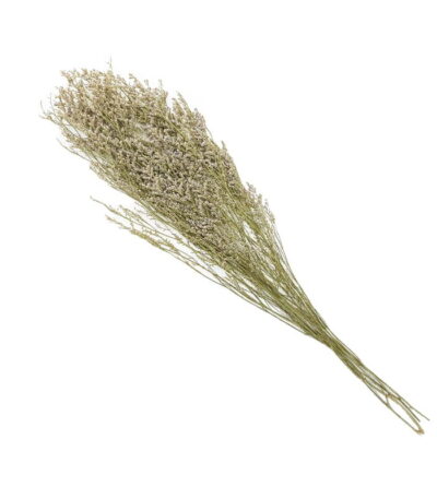 Love grass