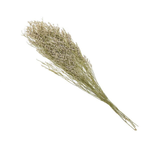 Love grass