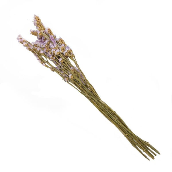 Forget Me Not Purple Stalks