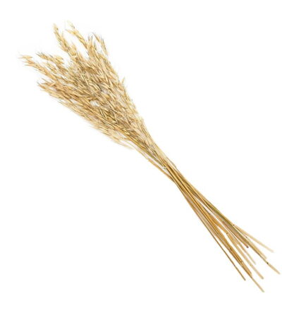 Natural Oats Bouquet