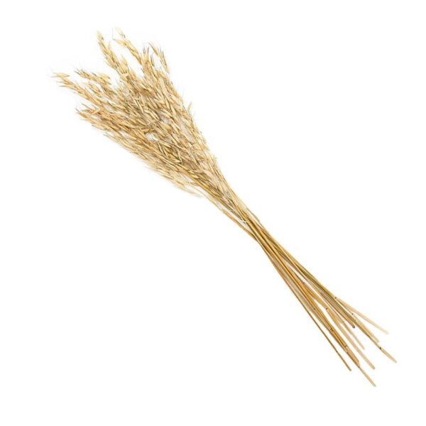 Natural Oats Bouquet