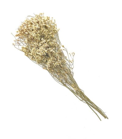 Crystal Grass Stalks