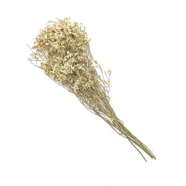 Crystal Grass Stalks