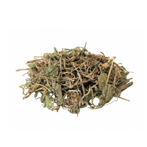 gotu kola