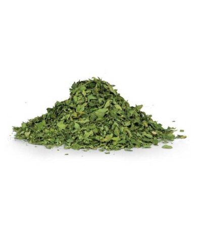 moringa leaf