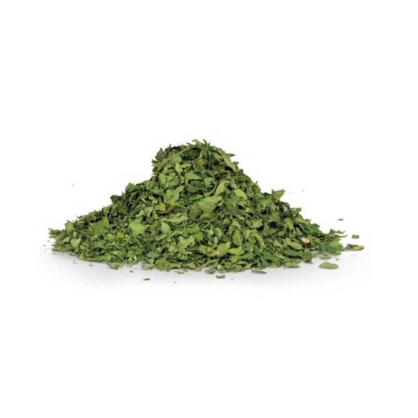 moringa leaf