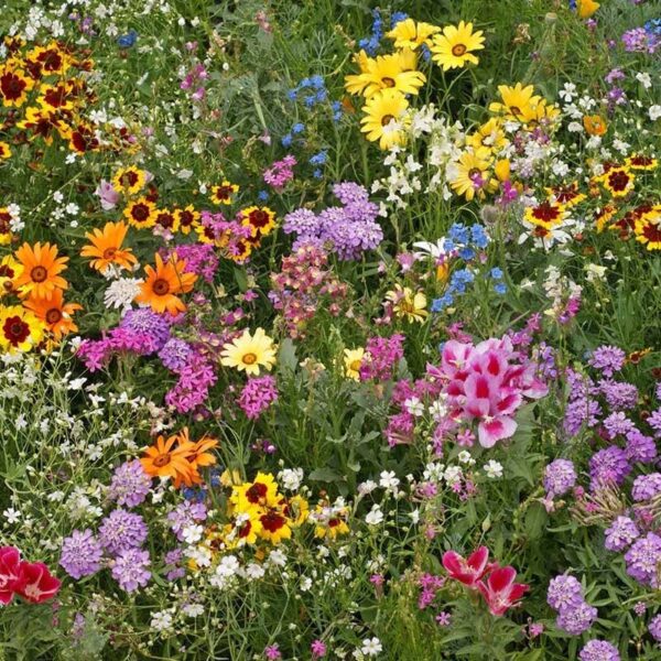 Floral Garden Fragrance Oil