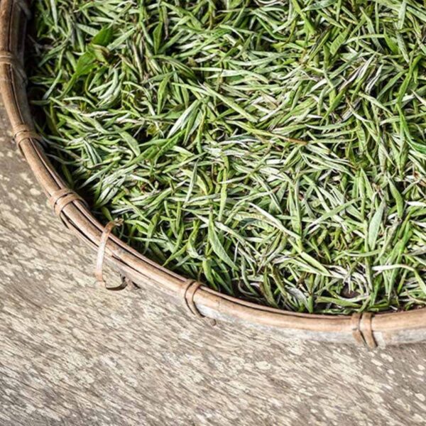 White Tea Harvest Fragrance Oil