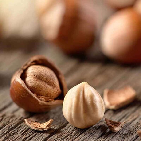 Hazelnut Fragrance Oil