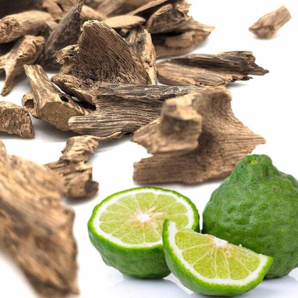 Oud & Bergamot Fragrance Oil