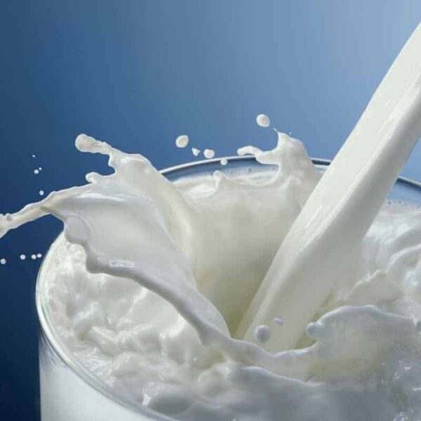 Milk Fragrance Oil