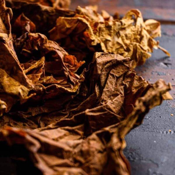 Tobacco Fragrance Oil
