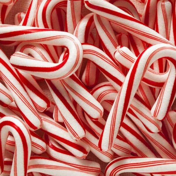 Candy Cane Fragrance Oil