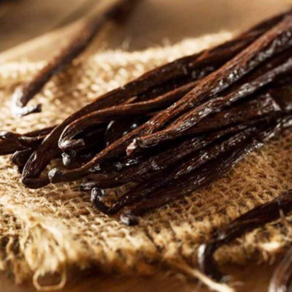 Tahitian Vanilla Fragrance Oil