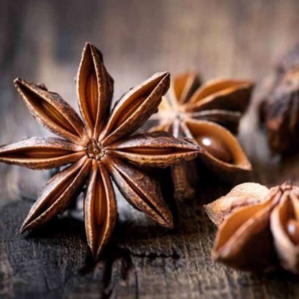 Star Anise Fragrance Oil