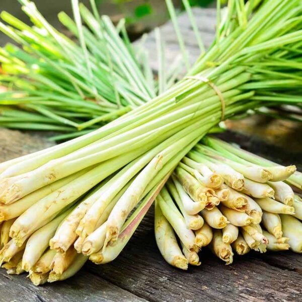 Lemongrass Fragrance Oil