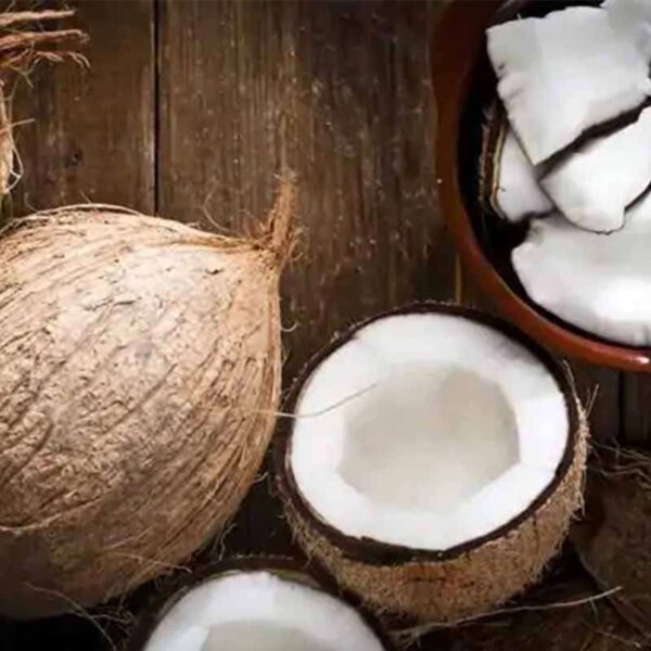 Coconut Fragrance Oil