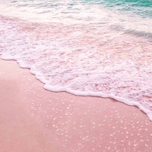 Pink Sands Fragrance Oil