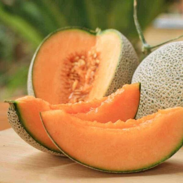 Cantaloupe Fragrance Oil