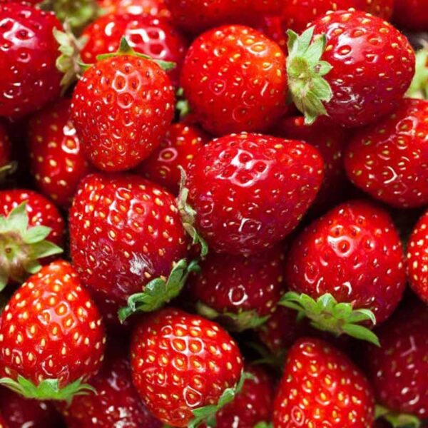 Strawberry Fragrance Oil