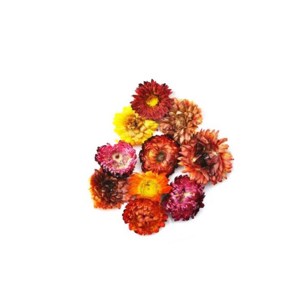 Colorful Dried Chrysanthemum