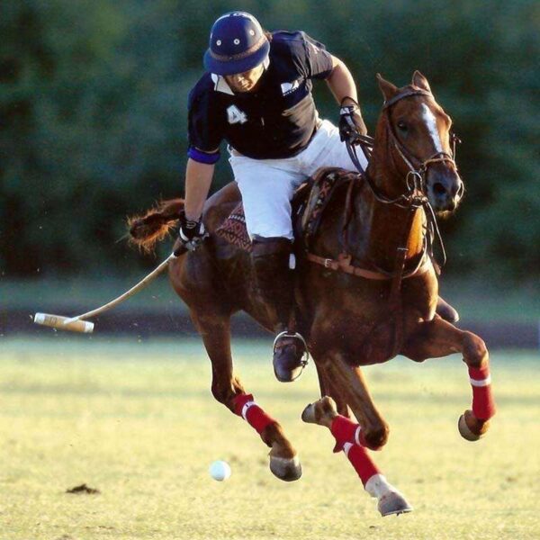 Polo Sport Type Fragrance Oil