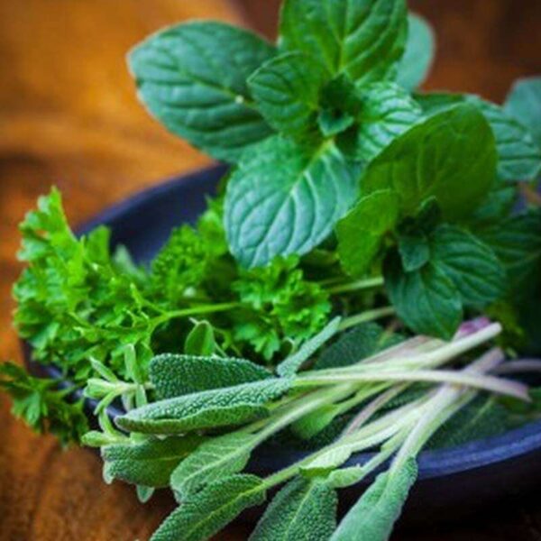Basil Sage & Mint Fragrance Oil