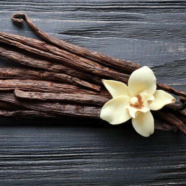 French Vanilla Fragrance Oil