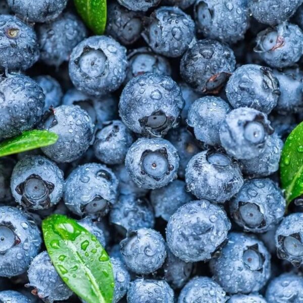 Blueberry Flavour Oil