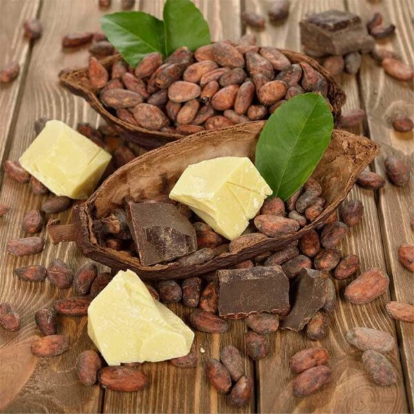 Cocoa Butter Cashmere Fragrance Oil