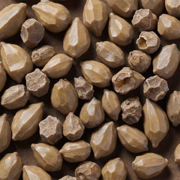 Benzoin Essential Oil