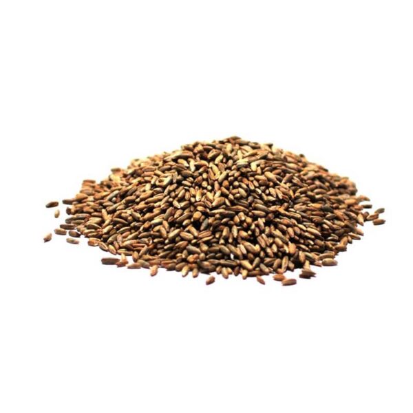 Rye Seeds