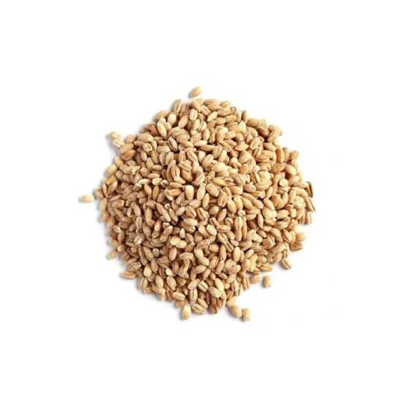 Wheatgrass Seeds